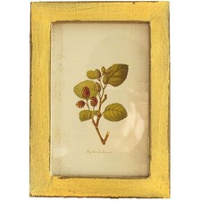 4x6 Inch Rustic Picture Frames - Farmhouse distressed frames 100 Reclaimed W...