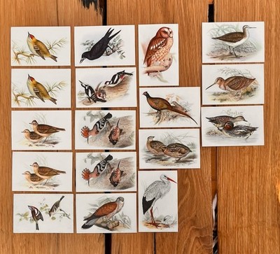 Köllnflocken - Serie 10 : Alle Vögel sind schon da - 17x ungeklebt