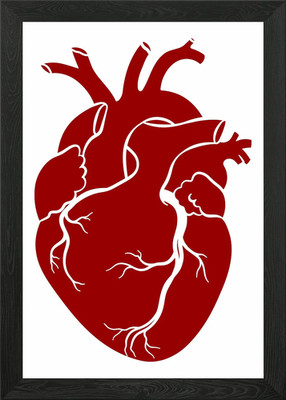 Anatomisch realistisch Mensch gerahmtes Wandbild Poster Leinwanddruck Bild