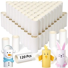 120 Pieces Cardboard Tubes for Crafts, White Kraft Toilet Paper Rolls for Cra...