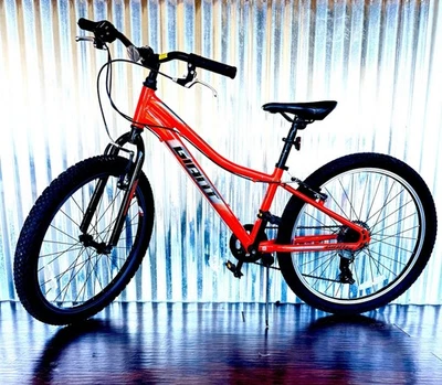 Giant 24 in Wheel Bikes for sale - eBay