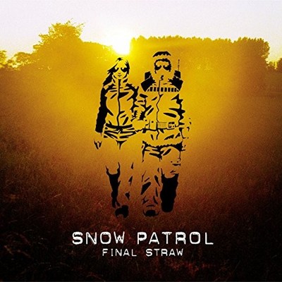 Final Straw [European Import] -  CD CYVG The Cheap Fast Free Post