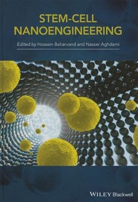 Stem Cell Nanoengineering, Hardcover by Baharvand, Hossein (EDT); Aghdami, Na...