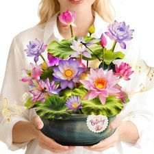 Geburtstagskarte Musik Licht Seerose Lotus Pop-up Geschenk für Frau Mutter