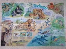 Medizini Wissensposter: Tierkinder, Tiere Affe Bär Löwe Delfin Eichhörnchen Maus