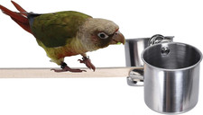 Parrot Feeding Cups Hanging Pet Animal Stainless Steel Birdcage Bowls Bird Bo...