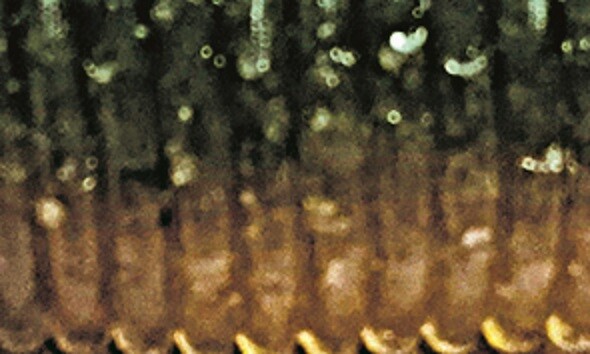 Picture 5 of 21