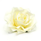 Bild 10 von 23