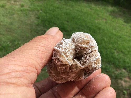 Selenite Gypsum Desert Rose From Tunisia - Bild 11 von 11