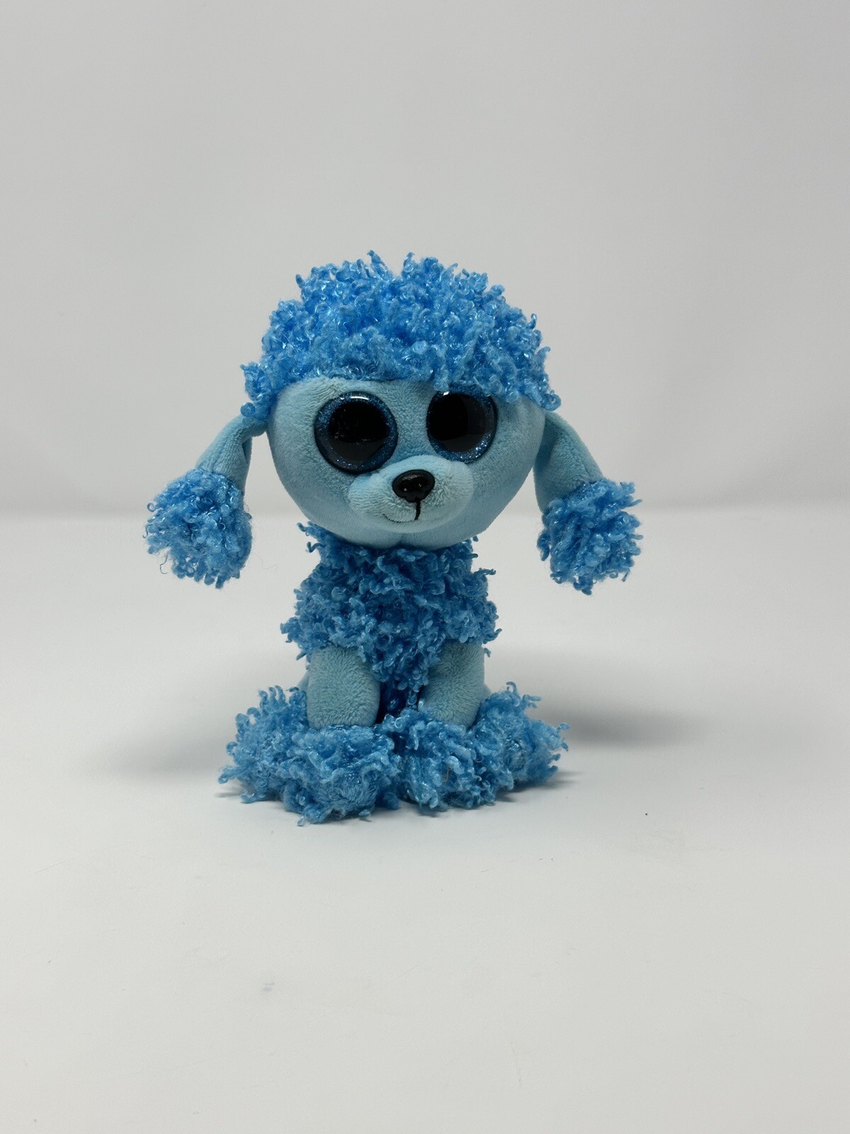 Mandy the Poodle 6