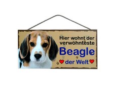 Türschild Beagle, Tierschild Hund aus Holz, Holzschild, deutsche Herstellung (A)