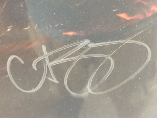 KINGDOMS OF AMALUR Reckoning Autografiado Póster Firmado Schilling McFarlane JSA - Imagen 2 de 12