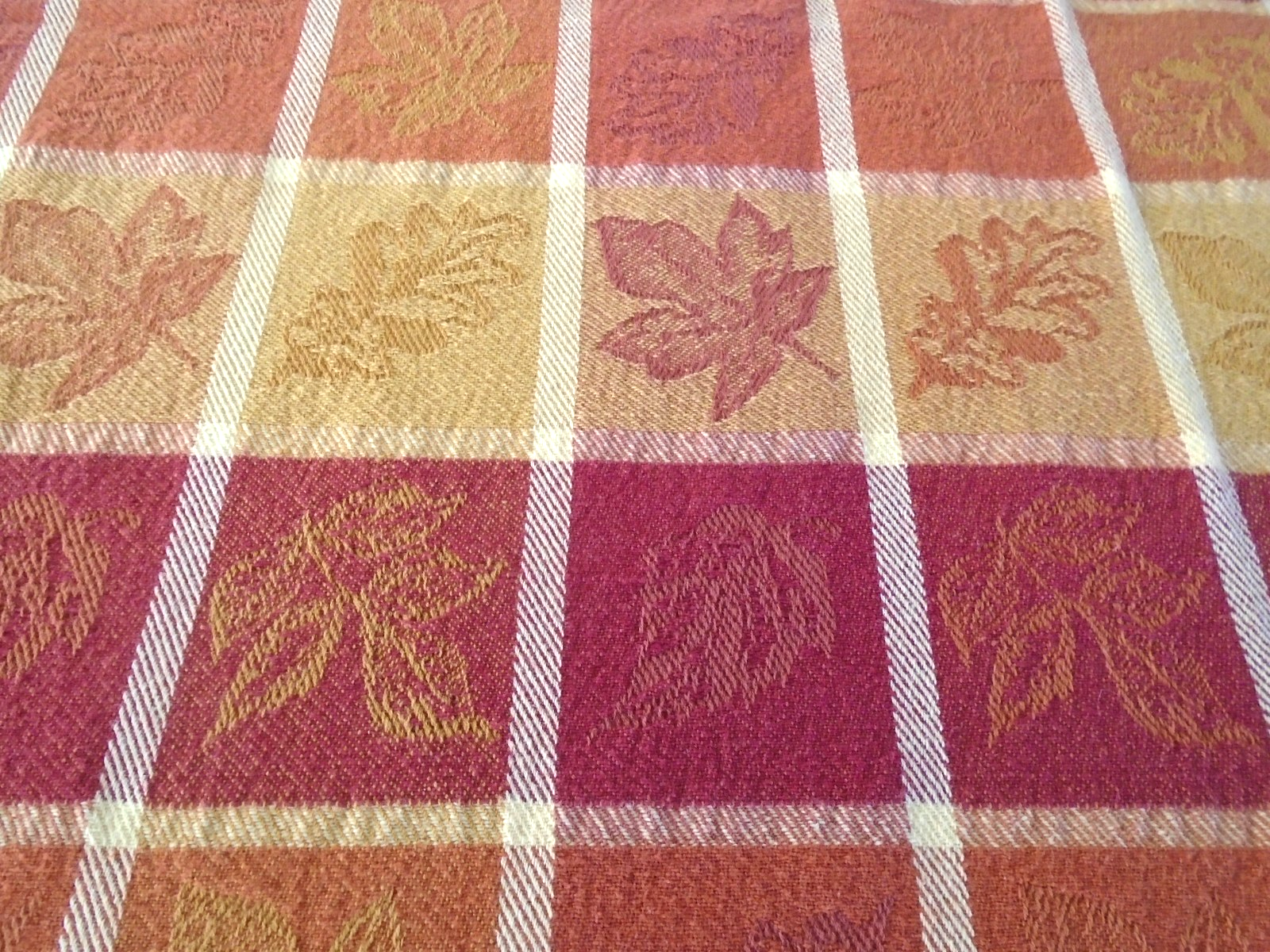 Picture 5 of 5