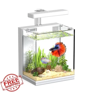 AQUASMITH Betta Fish Tank Moonlight