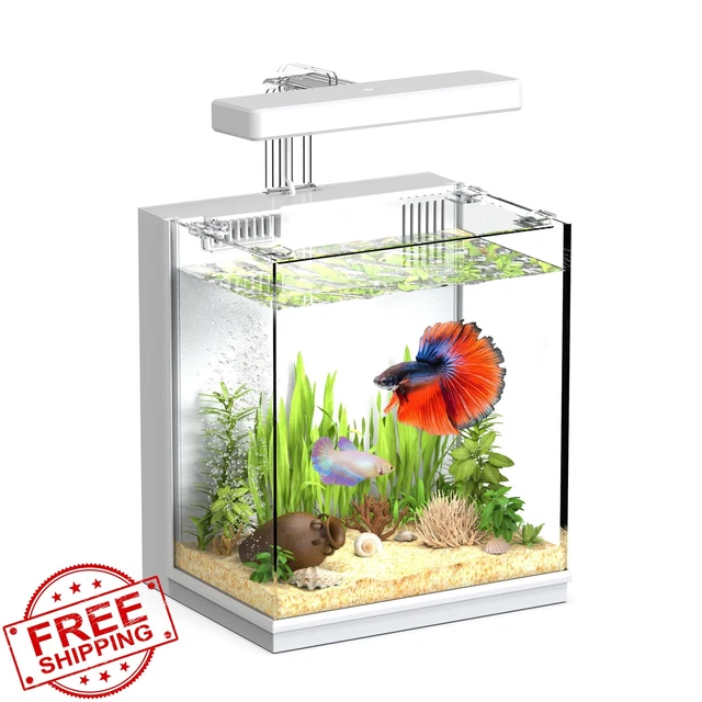 AQUASMITH Betta Fish Tank Moonlight