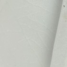 Bild 14 von 24