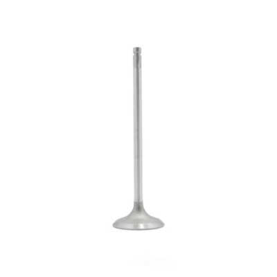 Intake Valve  DNJ Engine Components  IV245A