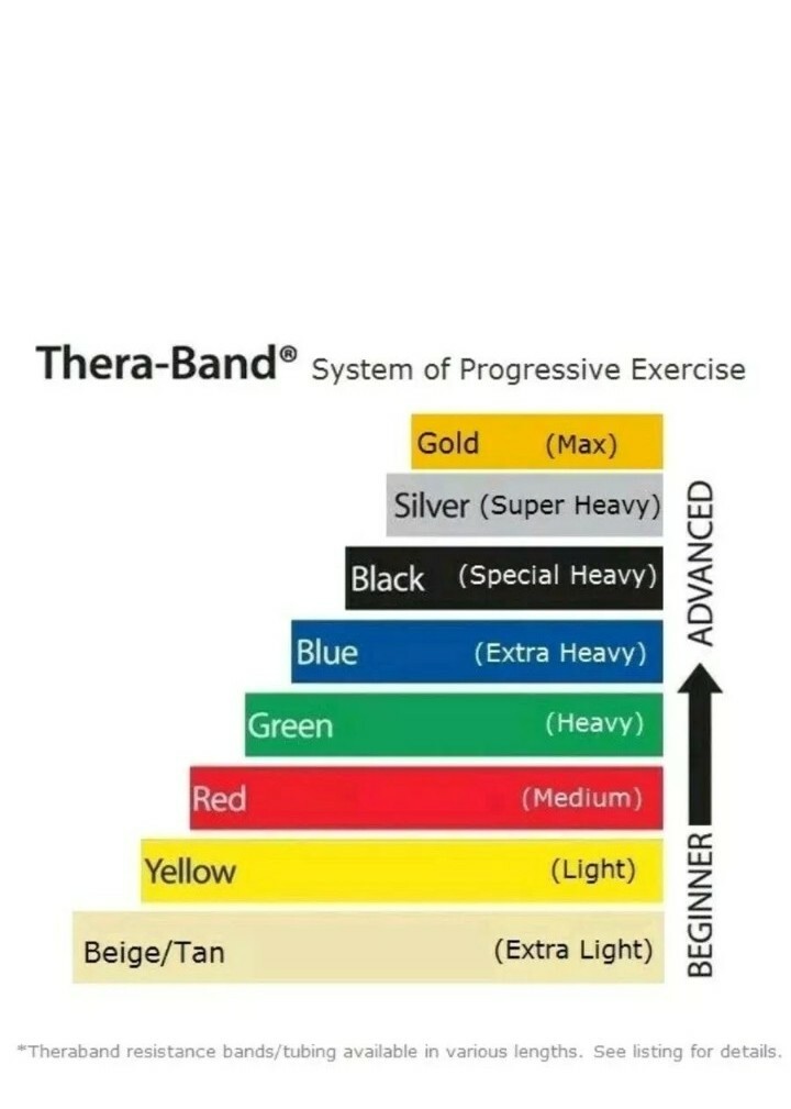 workout gold's gym resistance bands color chart