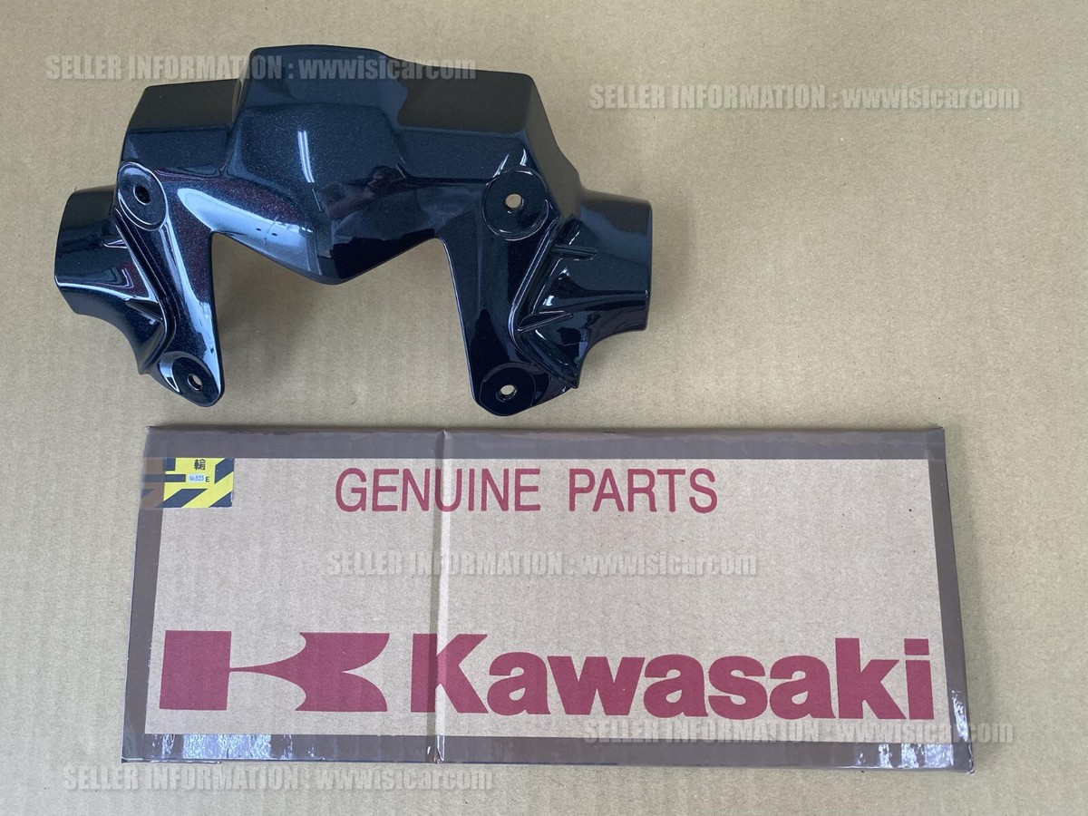 KAWASAKI Z900 SE 20-2024 COVER,SIGNAL LAMP,M.S.BLACK 14093-0928