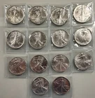 Lot of 14 American Silver Eagles Different Dates See description Free Shipping