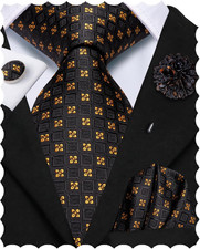 Mens Ties Set Silk Woven Necktie and Lapel Pin Pocket Square Cufflinks Sets Form