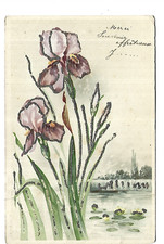 ILLUSTRATION  EN RELIEF FLEURS IRIS