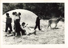 ANCIENNE PHOTO 1960 ESPAGNE VIEILLE CASTILLE LA TRILLA PAYSANNERIE OUVRIERS ANE