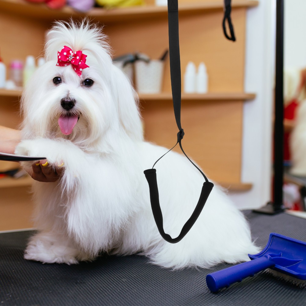 Accessori per la toelettatura cani foto 6