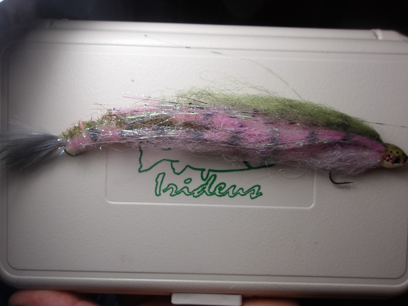 Morone Swimbait Two Soft baby trout drop shot Carolina rig 6 inches - Image 4