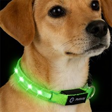 LED Dog Collar Small Dogs Waterproof Adjustable Glow USB Rechargeable Night