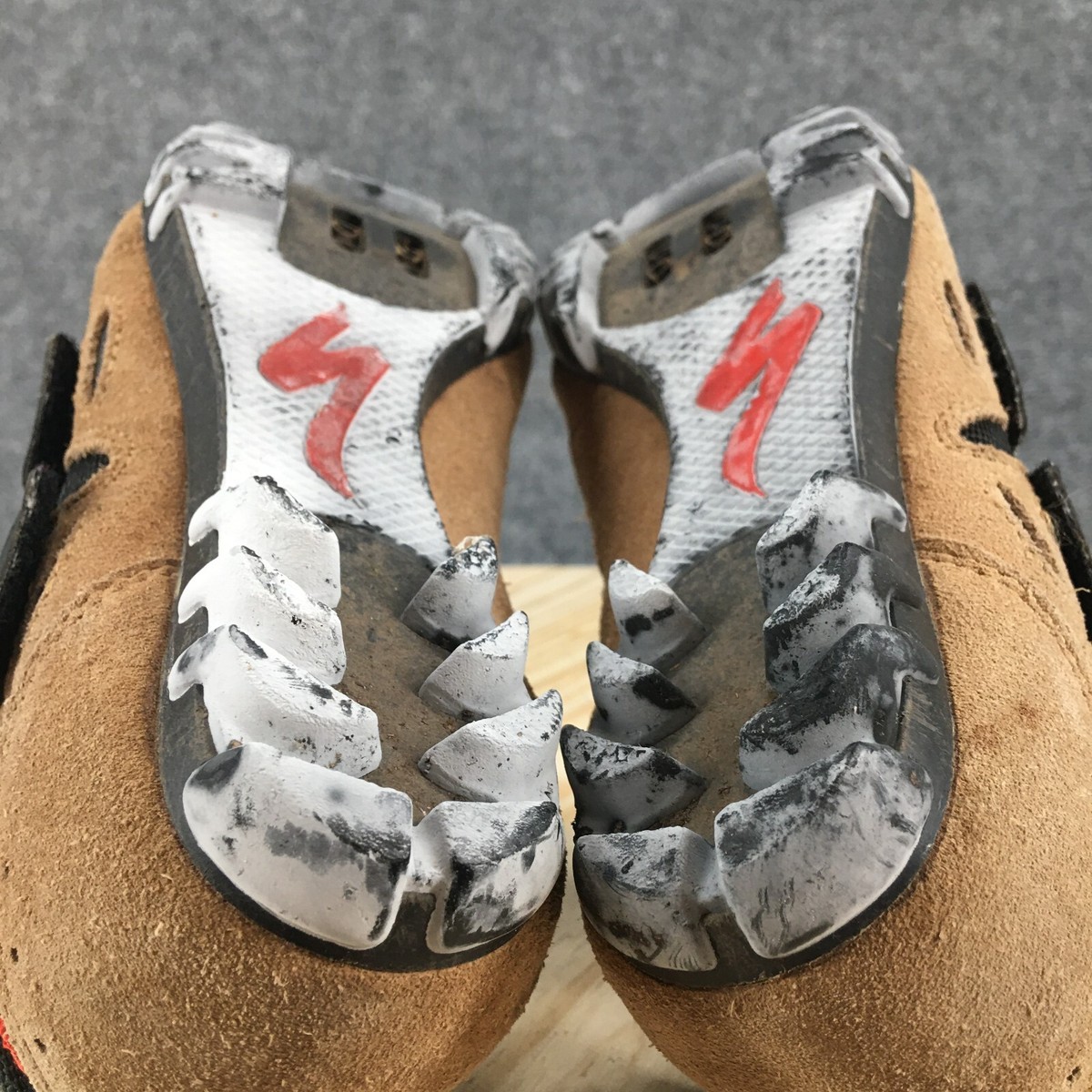 Achetez des Shimano XC503 Chaussures Femmes Sable/Beige Zand/Beige chez HBS