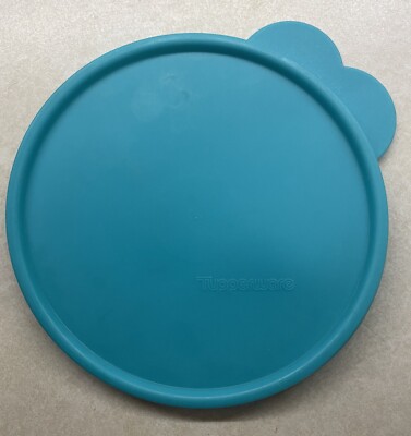 TUPPERWARE Replacement Lid Seal Cover TEAL 2541D Butterfly Tab Size C (D)
