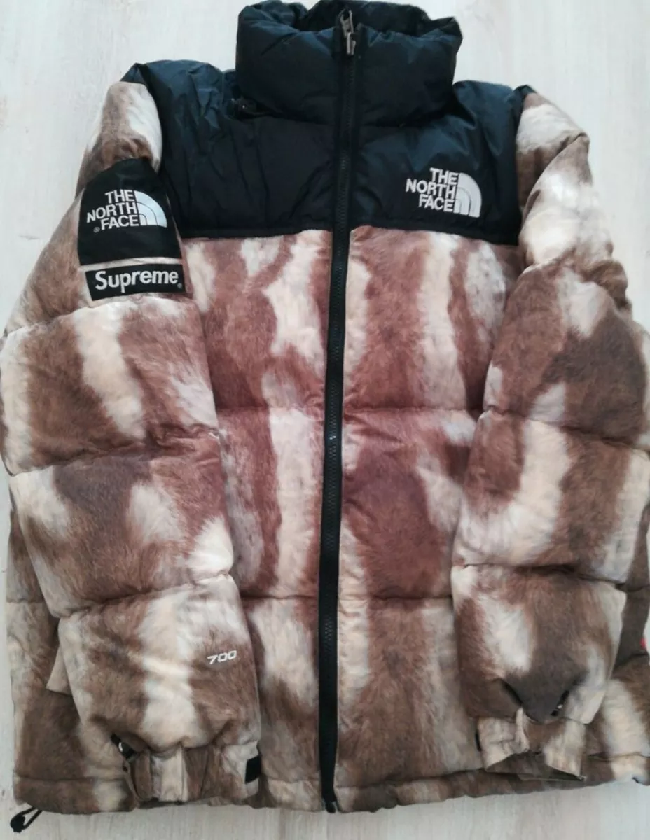 North face fur best sale vest