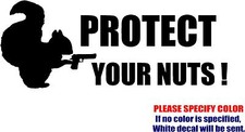Vinyl Decal Sticker - Protect Your Nuts 04 Car Car Truck Window JDM Fun 7"