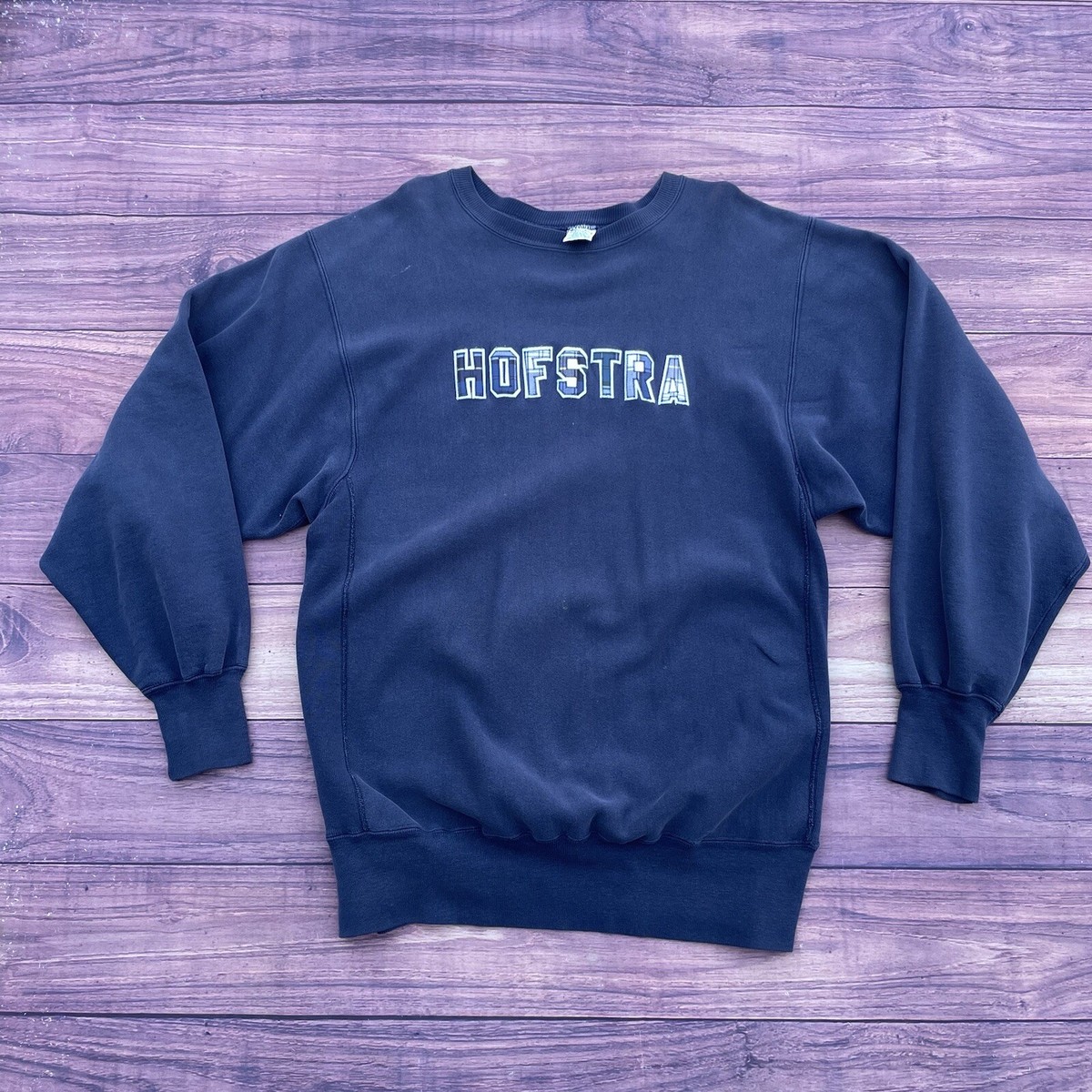 Vintage Hofstra University Champion Reverse Weave Sweatshirt Size