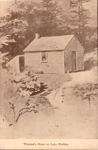 AK Thoreaus Haus am Waldensee geteilte Rückseite PC152 - Bild 1 von 2