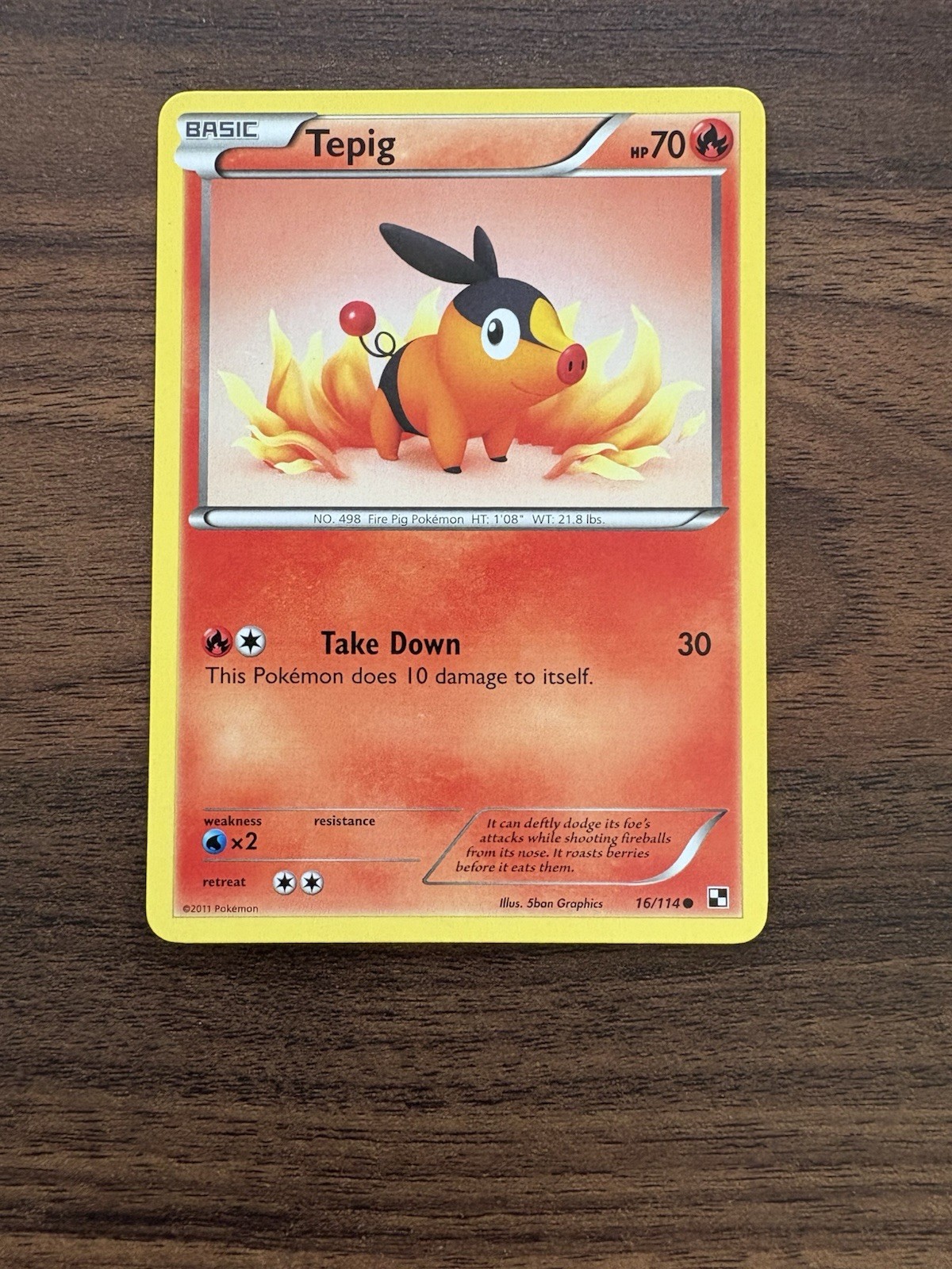 Pokemon - Tepig - 16/114 - Common - Black and White - NM