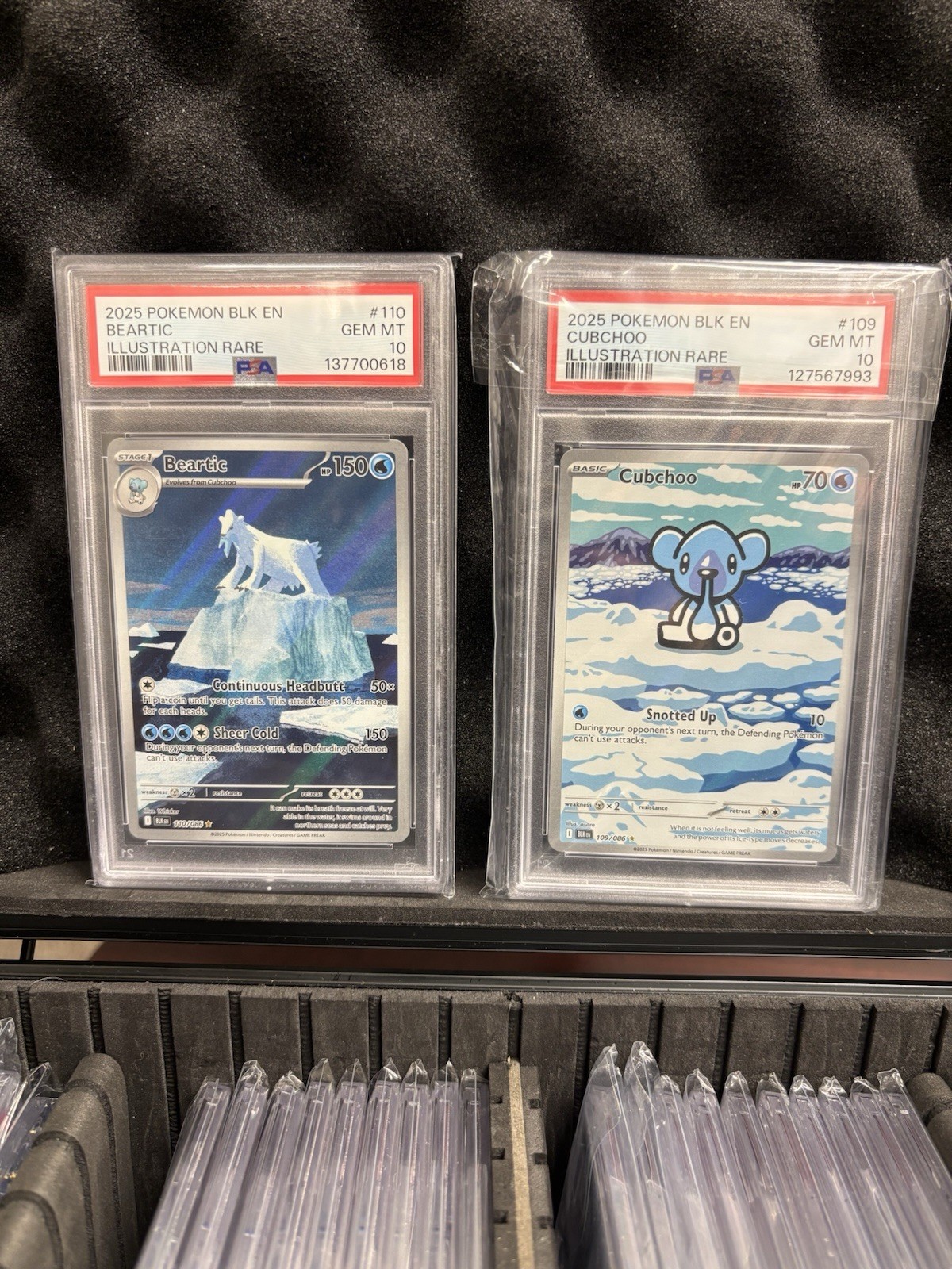 2025 POKEMON BLK EN-BLACK BOLT ILLUSTRATION RARE CUBCHOO & BEARTIC PSA 10