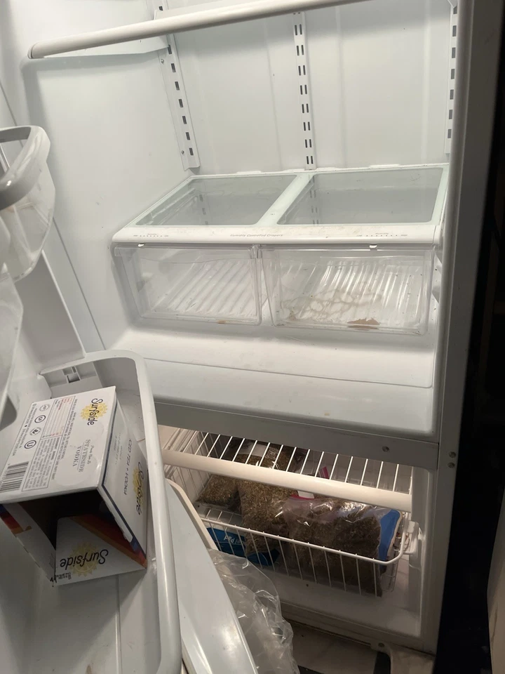 White 21 cu.ft Kenmore top-mount Refrigerator (used) - Image 4 of 4