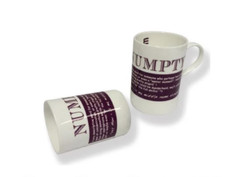 Quirky Scottish Doric Dialect Phrase Tea Coffee Bone China Mug - Numpty