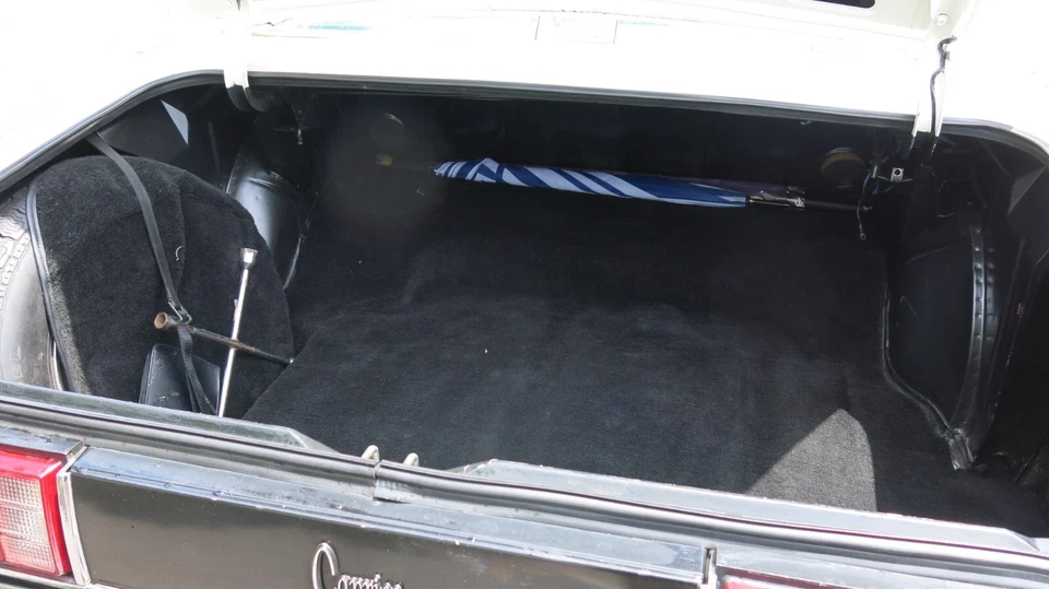 Holden Statesman DeVille Caprice - 1983 WB - Low Ks With Caprice Option - image 4 of 4