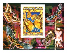 Stamps Burkina Faso 1996 Imperf. Butterflies (2613) Luxury block N° 1410-1413 BL