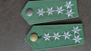 polizei abzeichen deutschland Schulterstücke