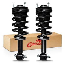 Front  Struts Complete Assembly Compatible with