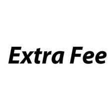 Extra Fee for custom fee / shipping cost / other fees