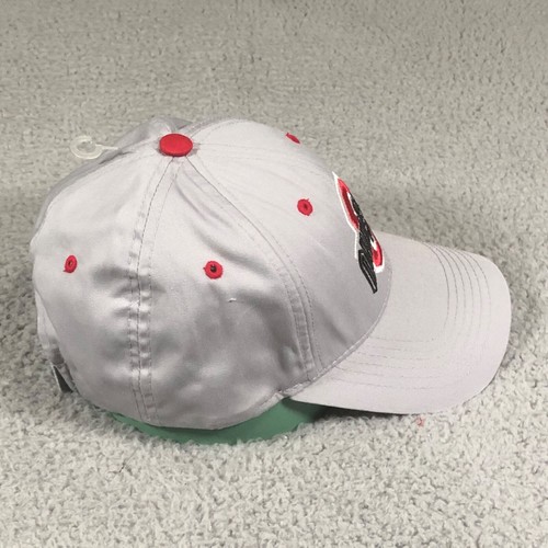 Ohio State Buckeyes Baseball Hat Adult OSFM Gray Cap Captivating Headwear - Picture 3 of 7