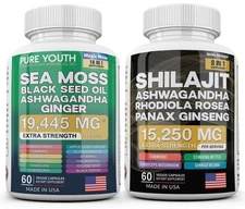 Dynamic Vitality Bundle - Sea Moss Multivitamin & Shilajit Power Combo US