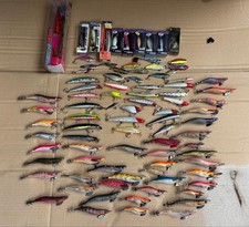 Sea bass and squid jig set