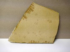 Fossilien - Haarsterne Seelilie - Plattenkalk - Blumenberg/Eichstätt