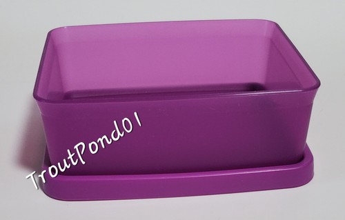 Juego de bocadillos Tupperware cuadrado mini sándwichera púrpura caja de baratija enano - Imagen 7 de 7